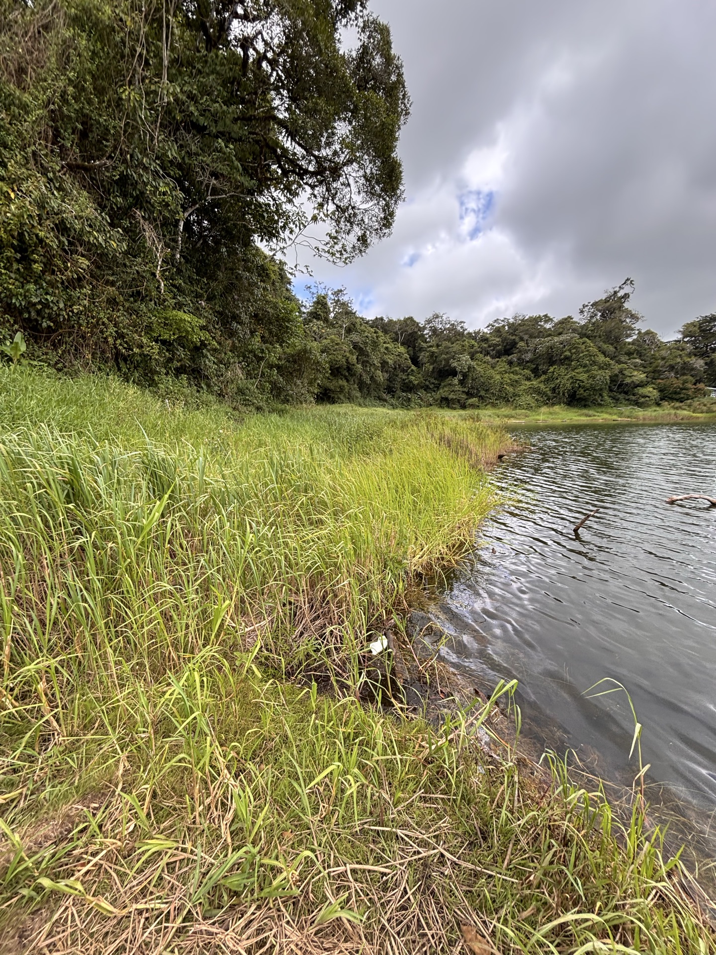 Lagunas del volcán