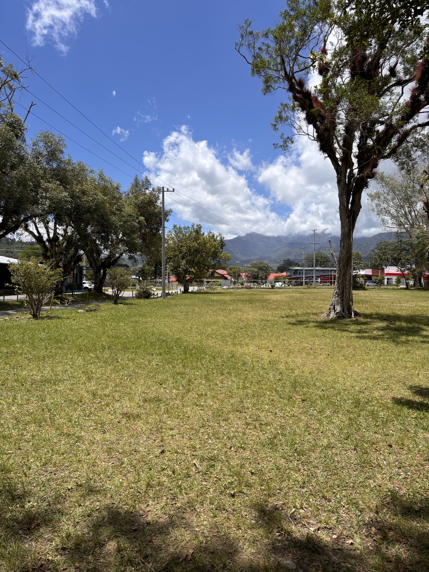 Parque San Benito